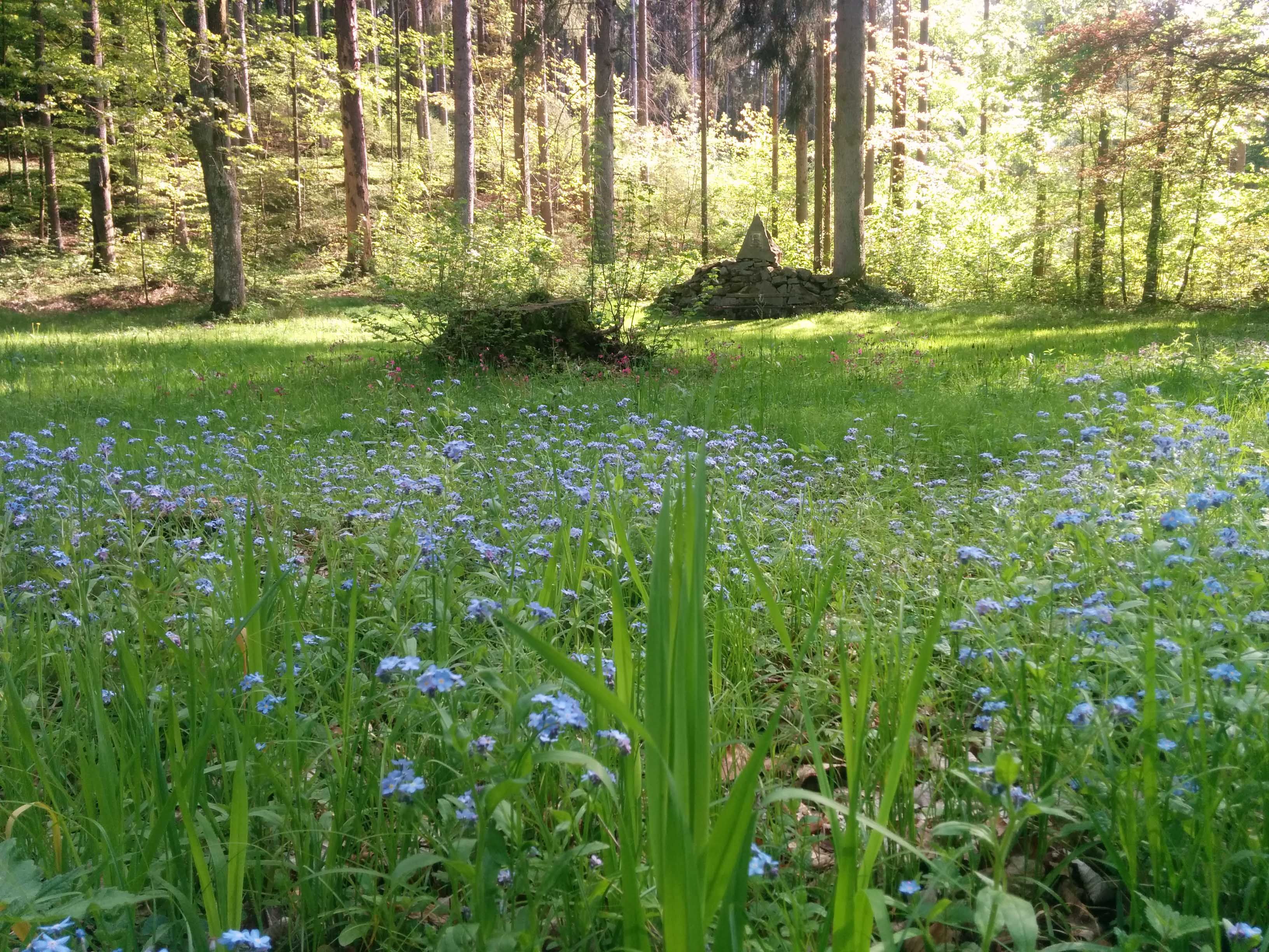 Carolinenwiese mit Steinpyramide im Gabrielental