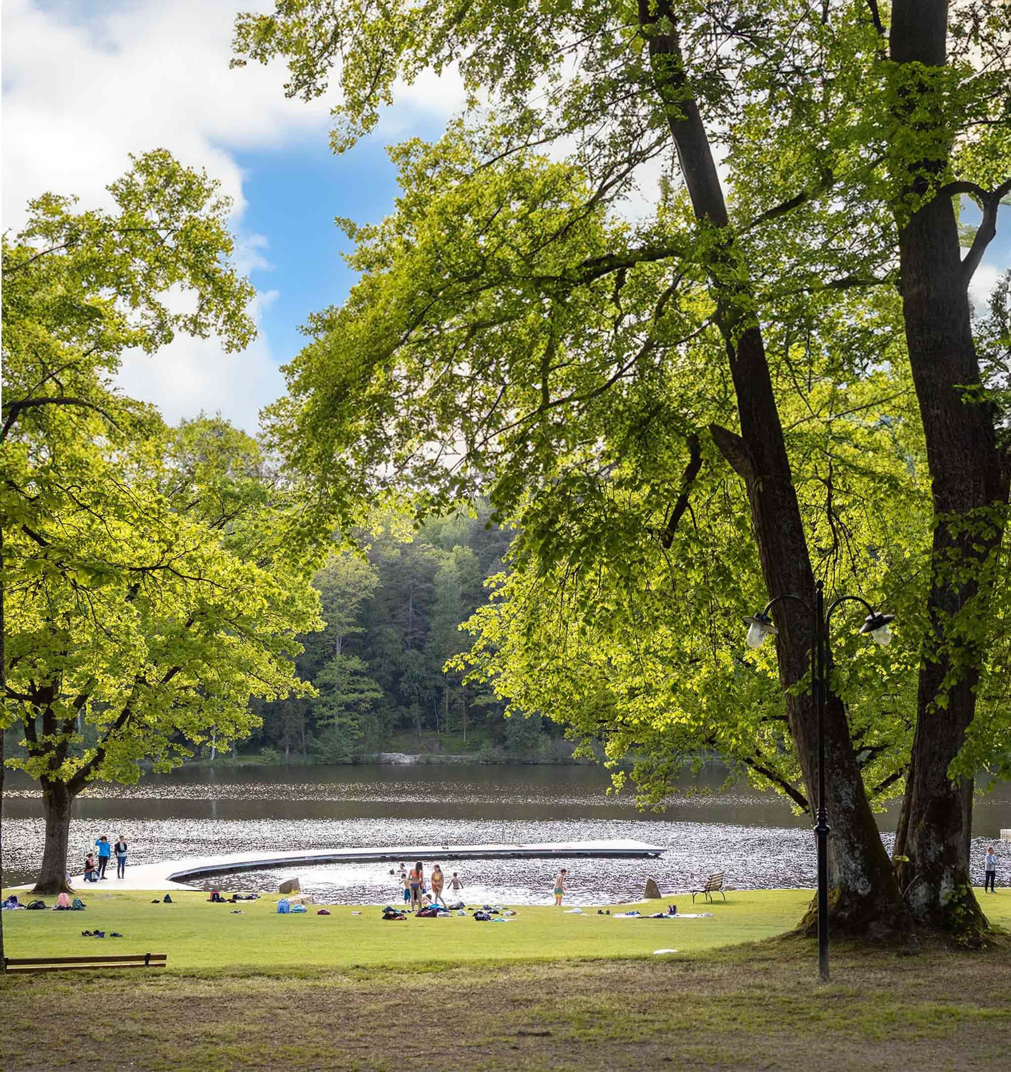 Menschen entspannen auf einer Wiese am Seeufer, umgeben von Bäumen.