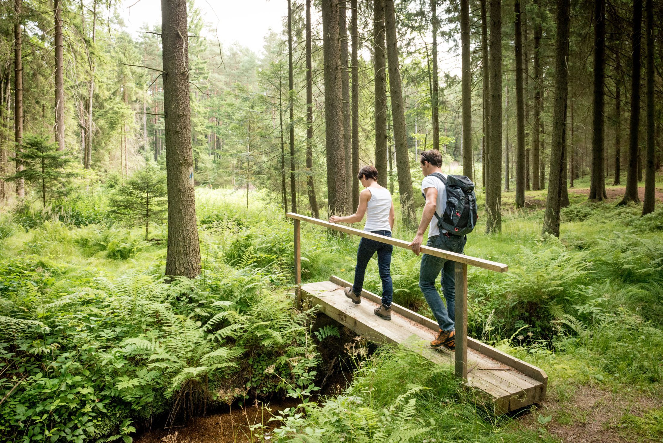 Zwei Personen wandern über eine kleine Holzbrücke in einem dichten Wald.