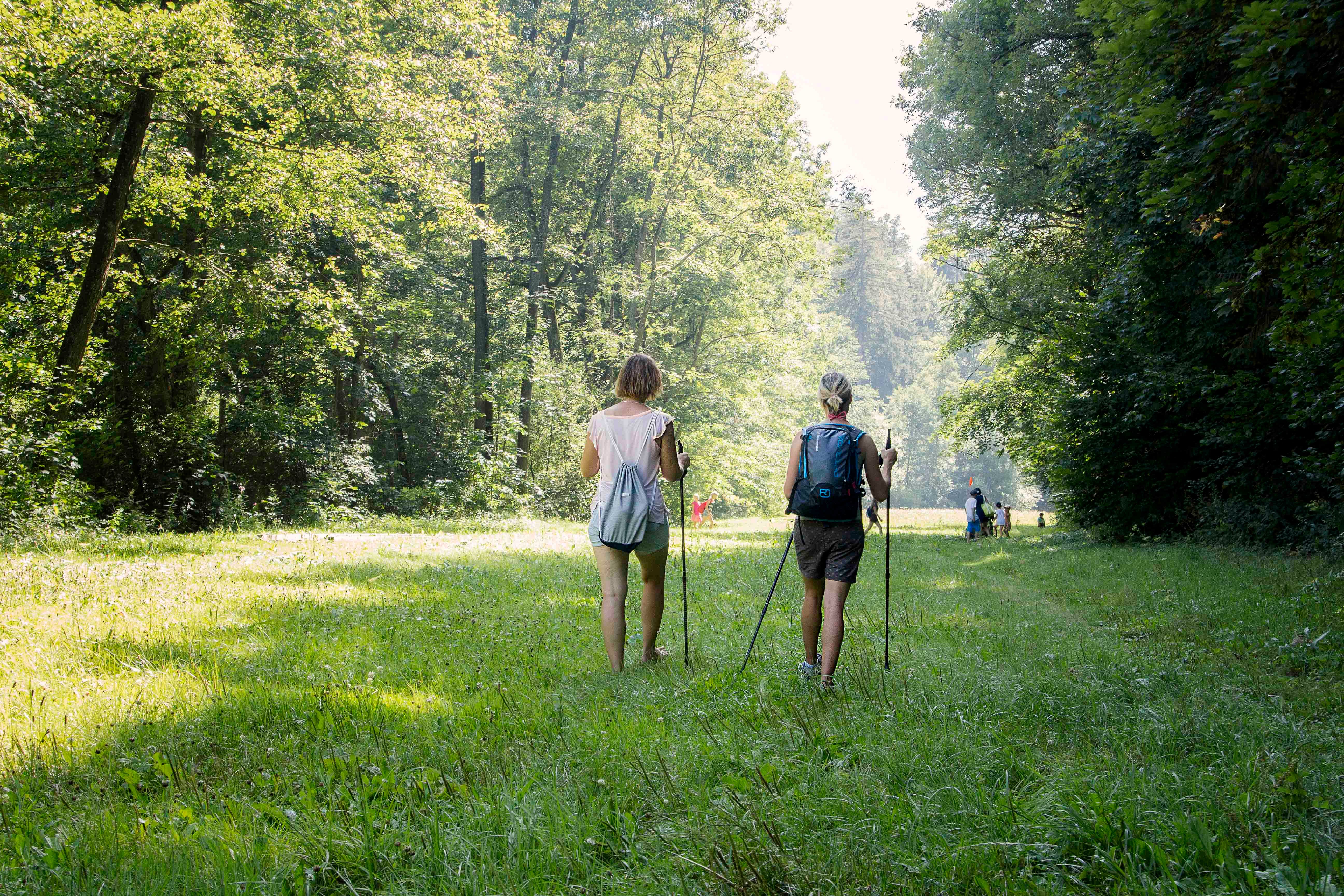 Wanderer auf der Gabrielentalwiese