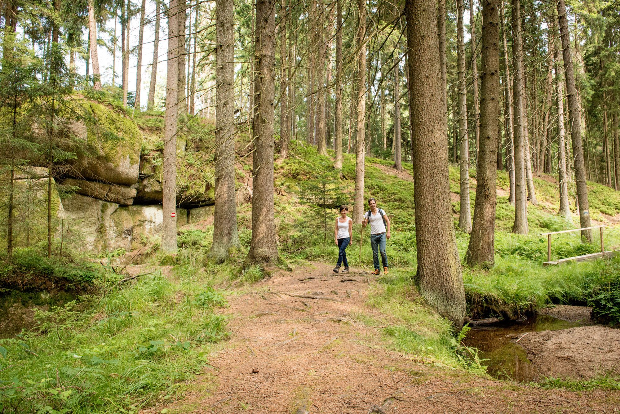 Zwei Personen wandern auf einem Waldweg im Höllgraben, umgeben von hohen Bäumen und Felsen.