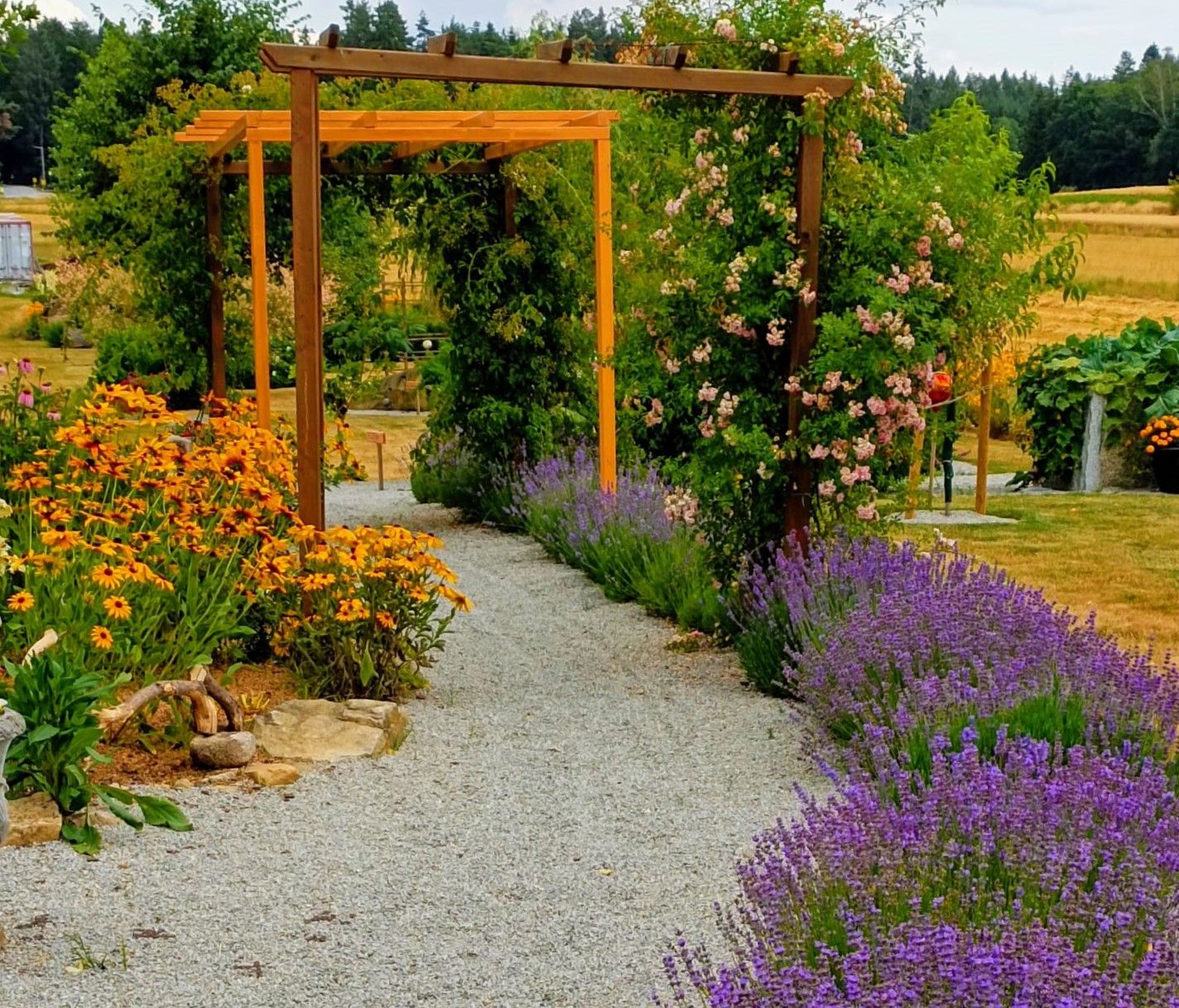Ein Gartenweg mit Lavendel, Rosen und gelben Blumen, flankiert von einem Holzpergola.