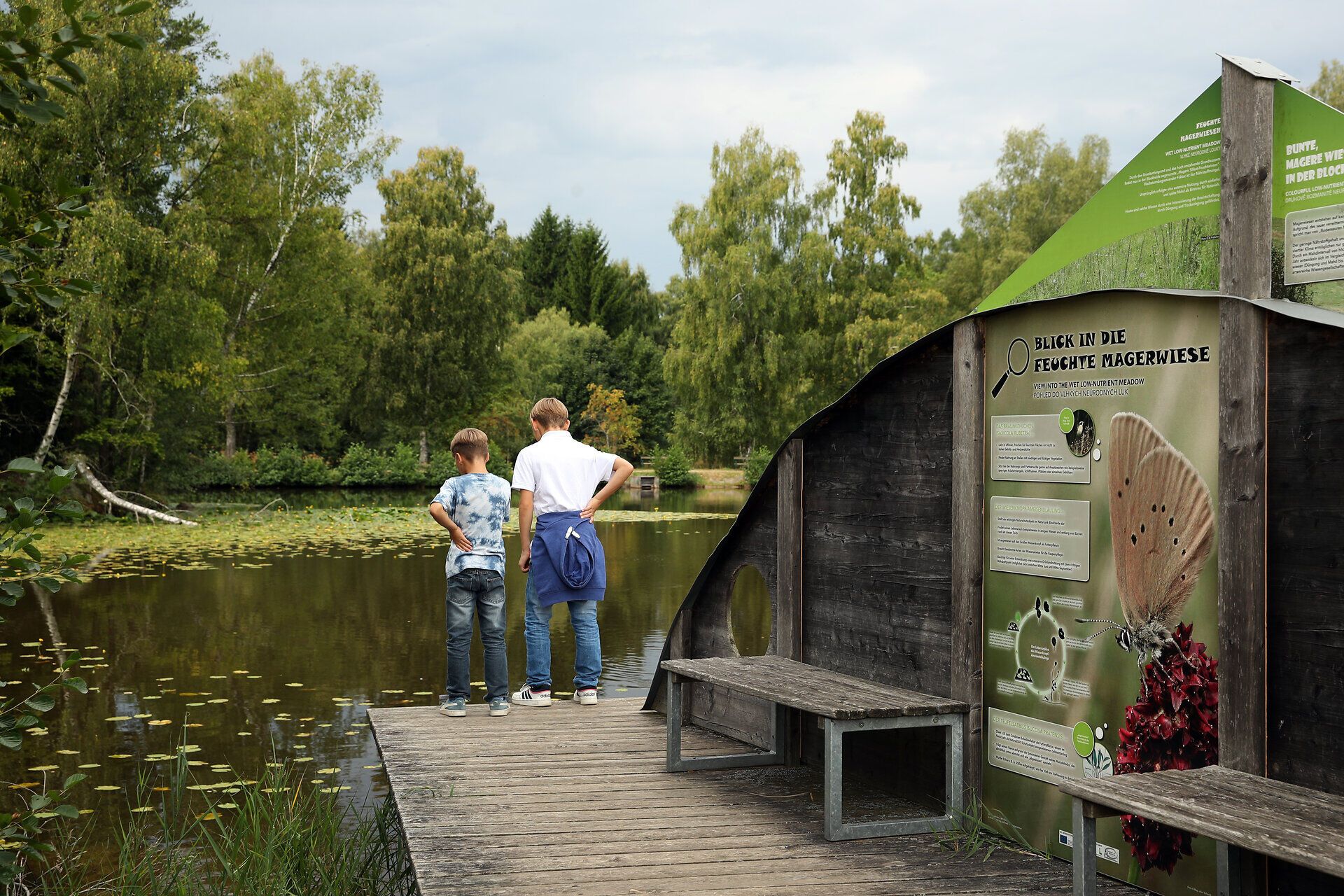 Zwei Kinder stehen auf einem Steg an einem Teich und blicken ins Wasser. 
