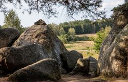Im Naturpark Blockheide entfaltet sich eine beeindruckende Landschaft aus majestätischen Felsen und sanften Hügeln, die von üppigem Grün umgeben sind. Die ruhige Atmosphäre lädt dazu ein, die Seele baumeln zu lassen und die Schönheit der Natur in vollen Zügen zu genießen.