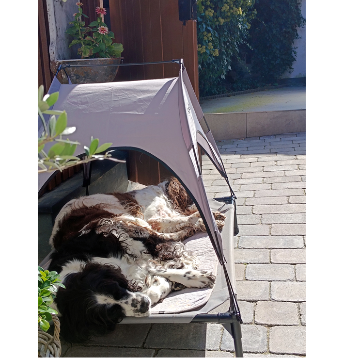 Fellnasen