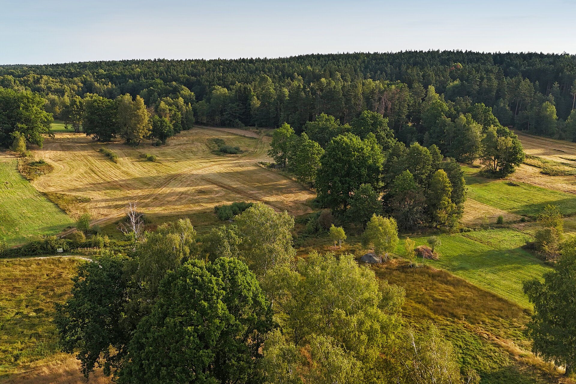 Die Luftaufnahme zeigt Felder und Wälder im Naturpark Blockheide. 