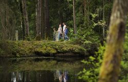 Eine Familie spaziert im Wald entlang eines Teichs. 