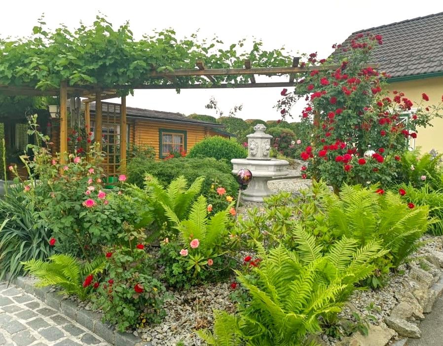 Ein gepflegter Garten mit Rosen, Farnen und einem kleinen Brunnen, umgeben von einem Holzhäuschen und einer Pergola.