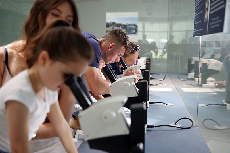 Menschen betrachten Objekte durch Mikroskope in einem Ausstellungsraum.