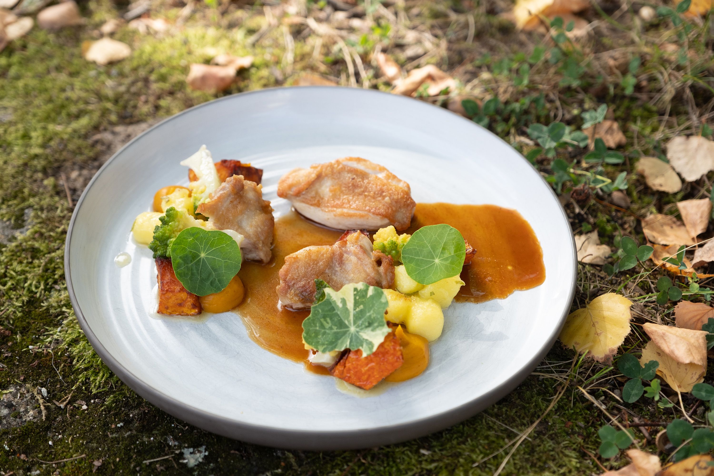 Ein Teller mit Stubenküken, Kürbis und grünen Blättern, angerichtet auf einer Wiese.