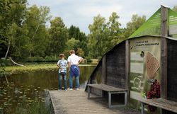 Zwei Kinder stehen auf einem Steg an einem Teich und blicken ins Wasser. 