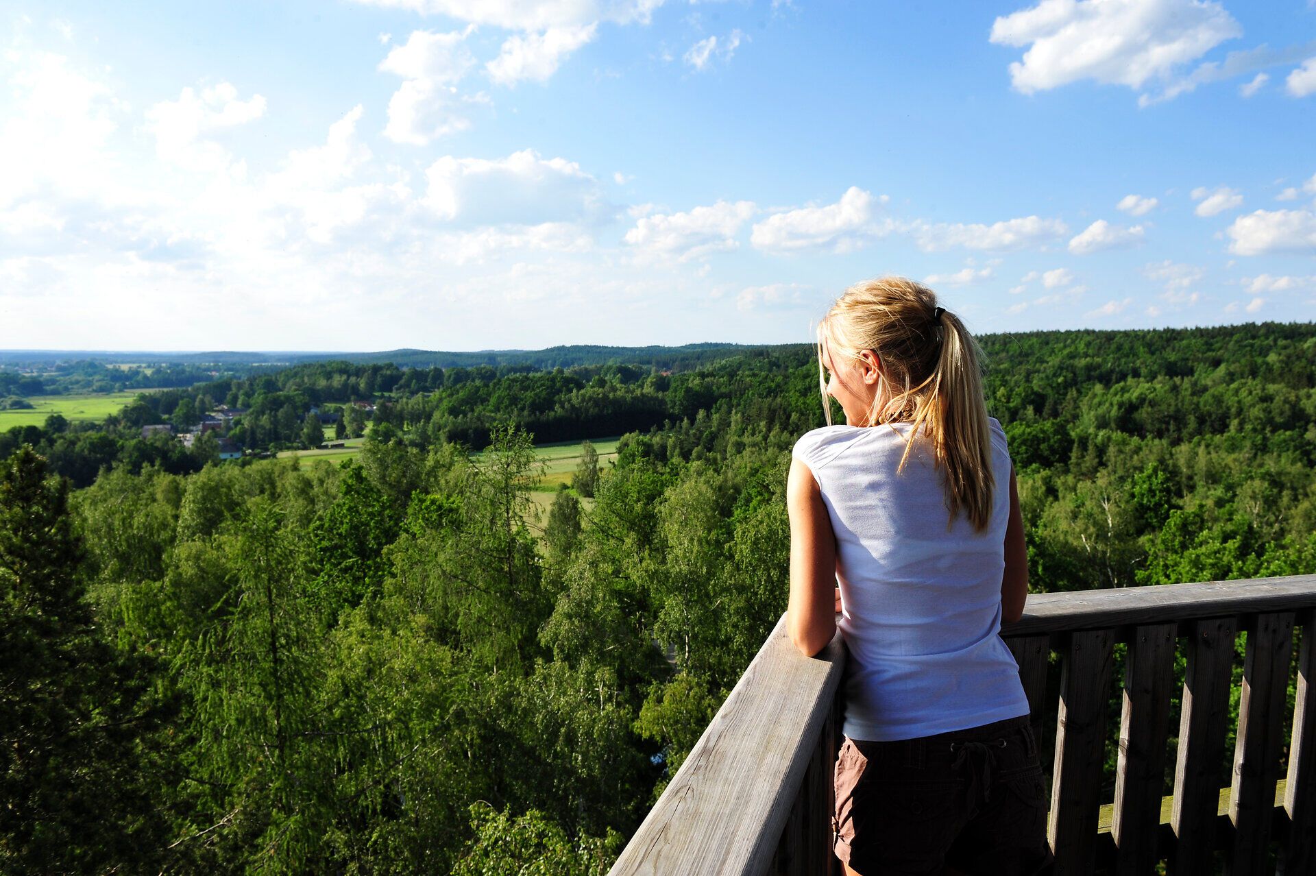 Ein sanfter Wind streicht durch die Bäume, während die Sonne die Landschaft in warmes Licht taucht. Von der Aussichtsplattform aus eröffnet sich ein atemberaubender Blick über die grünen Hügel und Wälder, die in der Ferne verschwinden. Hier, inmitten der Natur, spürt man die Ruhe und Schönheit des Sommers.
